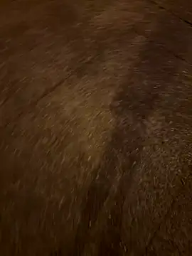 Snapshot of Foxfoxfox4 chatting on November 28, 1:00 pm Foxfoxfox4 online show from November 28, 1:00 pm