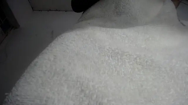 Foxy Lovex online show from February 7, 10:18 pm