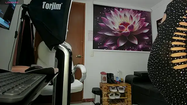 lycoris 19 online show from December 1, 8:53 pm