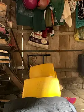 Sunyinn online show from December 21, 2:46 am