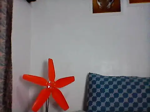 nhayasquirt online show from October 28, 9:30 am