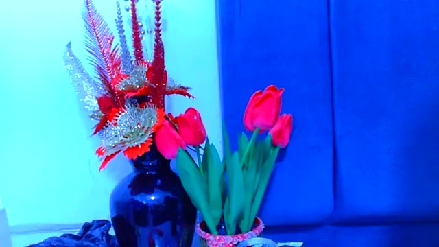 AmbarSmit online show from April 16, 11:07 pm