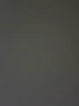 sunset24 online show from March 21, 7:42 am