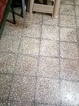 twpatil online show from October 25, 4:33 am