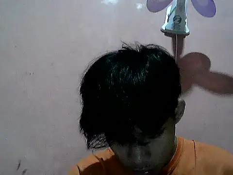 Kyoshi 19 online show from November 8, 11:47 am