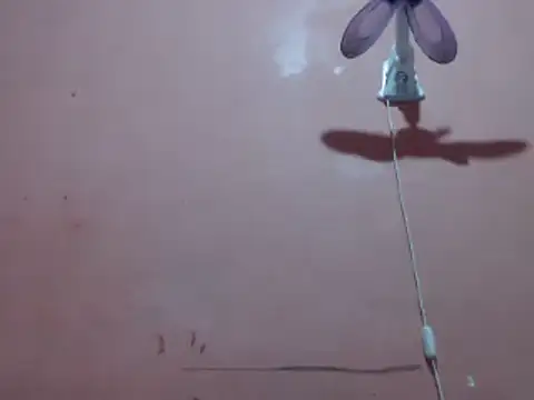 Kyoshi 19 online show from September 26, 12:34 pm