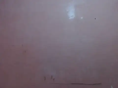 Kyoshi 19 online show from February 12, 9:42 am