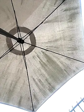 Sallem Pink online show from December 20, 11:13 am