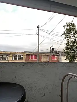 Sallem Pink online show from March 22, 11:12 am