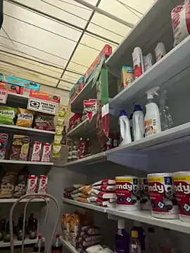 Sallem Pink online show from February 13, 11:21 am