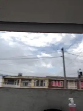 Sallem Pink online show from March 19, 11:21 am