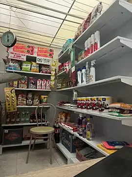 Sallem Pink online show from February 14, 11:21 am