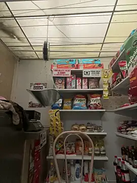 Sallem Pink online show from March 30, 11:11 am