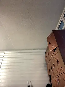 Sallem Pink online show from December 23, 11:09 am