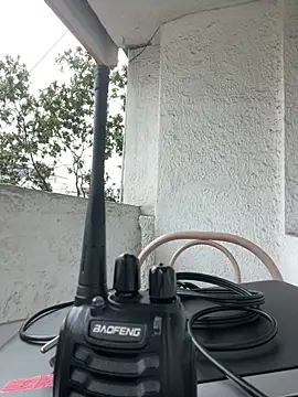 Sallem Pink online show from March 12, 11:25 am