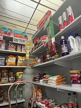 Sallem Pink online show from February 21, 11:23 am