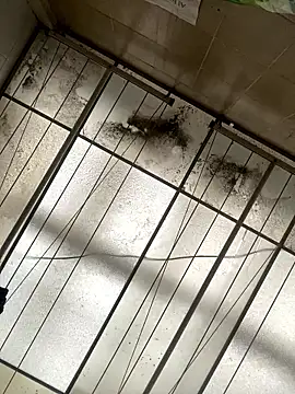 Sallem Pink online show from January 16, 11:25 am