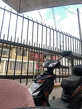 Sallem Pink online show from January 17, 11:25 am