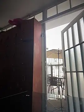 Sallem Pink online show from December 19, 11:12 am