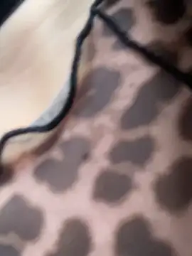 Sallem Pink online show from November 6, 11:14 am