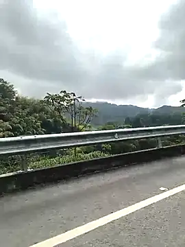 TamaraMera online show from January 7, 2:22 pm