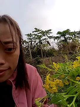 optra34 online show from February 5, 1:56 am