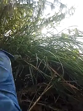 optra34 online show from October 13, 3:30 am