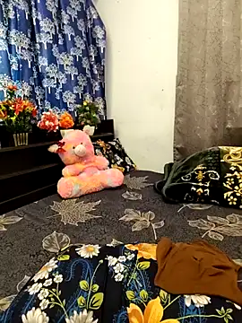 priya 26 online show from February 13, 3:06 am