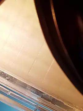 NISHU-TELUGU online show from January 17, 3:37 pm