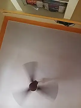 NISHU-TELUGU online show from April 6, 3:13 am