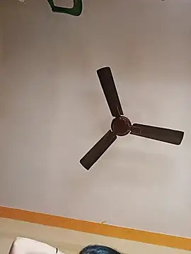 NISHU-TELUGU online show from December 17, 3:33 am