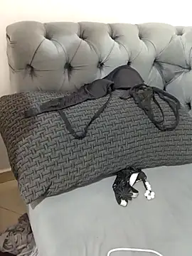 Snapshot of Queen-15 chatting on November 9, 11:42 pm Queen-15 online show from November 9, 11:42 pm