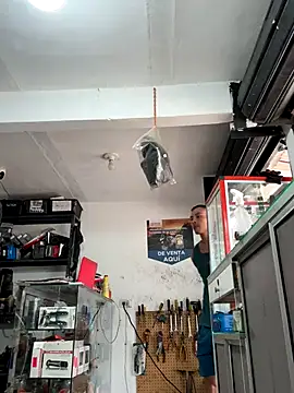 Terra-22cm online show from October 18, 2:52 pm