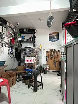 Terra-22cm online show from December 20, 3:15 pm