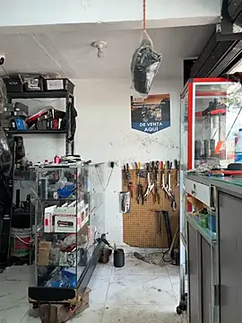 Terra-22cm online show from November 4, 3:27 pm