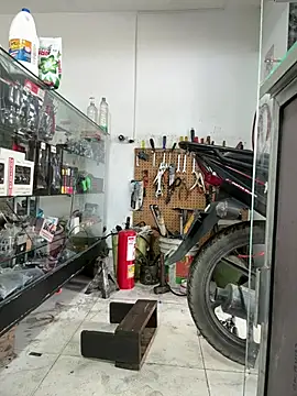 Terra-22cm online show from February 25, 1:55 pm