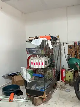 Terra-22cm online show from February 13, 1:22 pm