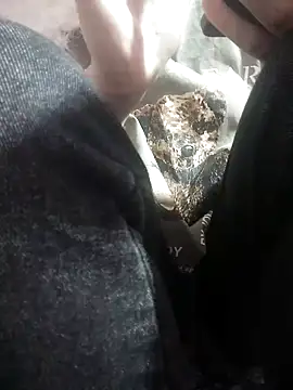 sasud2 online show from November 26, 1:38 am