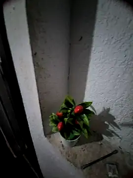 MIXJARABA online show from February 8, 8:01 am