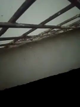 Snapshot of Daisygirl9 chatting on October 22, 9:35 pm Daisygirl9 online show from October 22, 9:35 pm