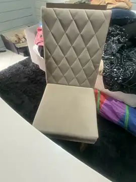 AnimistEquity online show from November 12, 3:38 pm