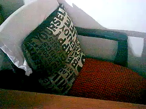 Snapshot of sacptjock83 chatting on December 17, 8:58 pm sacptjock83 online show from December 17, 8:58 pm