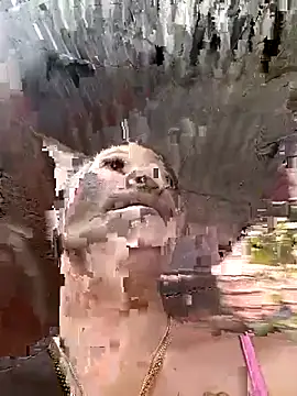 Rous-squir online show from January 7, 7:08 pm