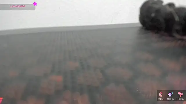 FluffyMelons online show from April 1, 11:01 pm