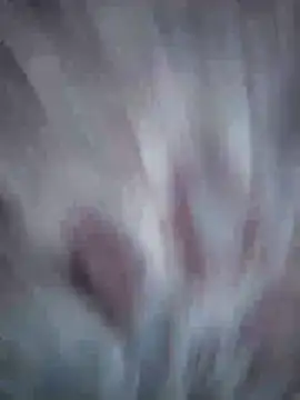 Aliyeni1 online show from April 17, 12:08 pm