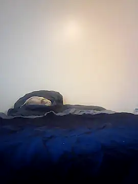 pullitoff online show from March 26, 3:10 pm