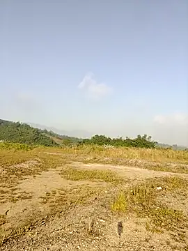 asian 2k online show from November 26, 1:16 am