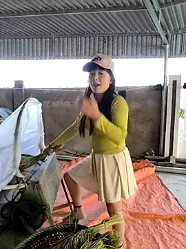 asian 2k online show from November 13, 8:40 am