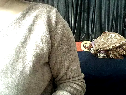 Anaconda-Mall online show from December 4, 7:02 pm