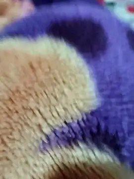 sana-5 online show from March 15, 3:19 pm